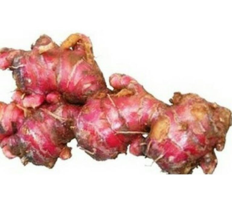 Khasiat Jahe Merah untuk Menyeimbangkan Flora Usus