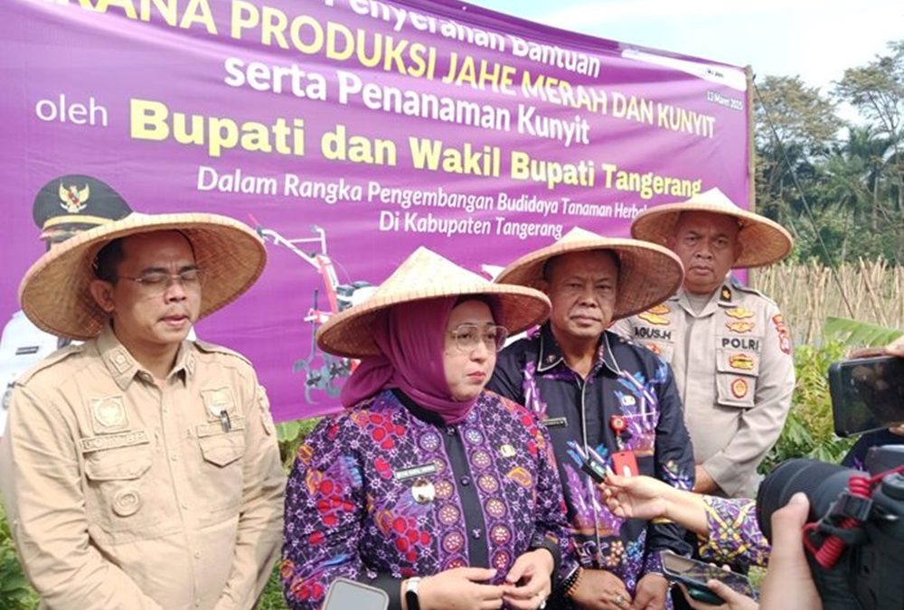 Bantuan Sarana Produksi Jahe Merah dan Kunyit untuk Kelompok Tani di Kabupaten Tangerang