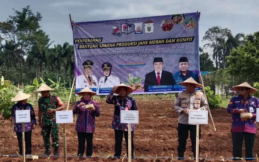 Pemkab Tangerang Serahkan Bantuan Budidaya Jahe Merah dan Kunyit untuk 19 Kelompok Tani