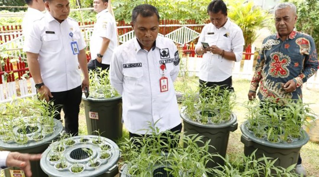 Jahe Merah Jadi Sorotan di Program Kampung KB Desa Mekarsari dan Jalur Mudik 2025