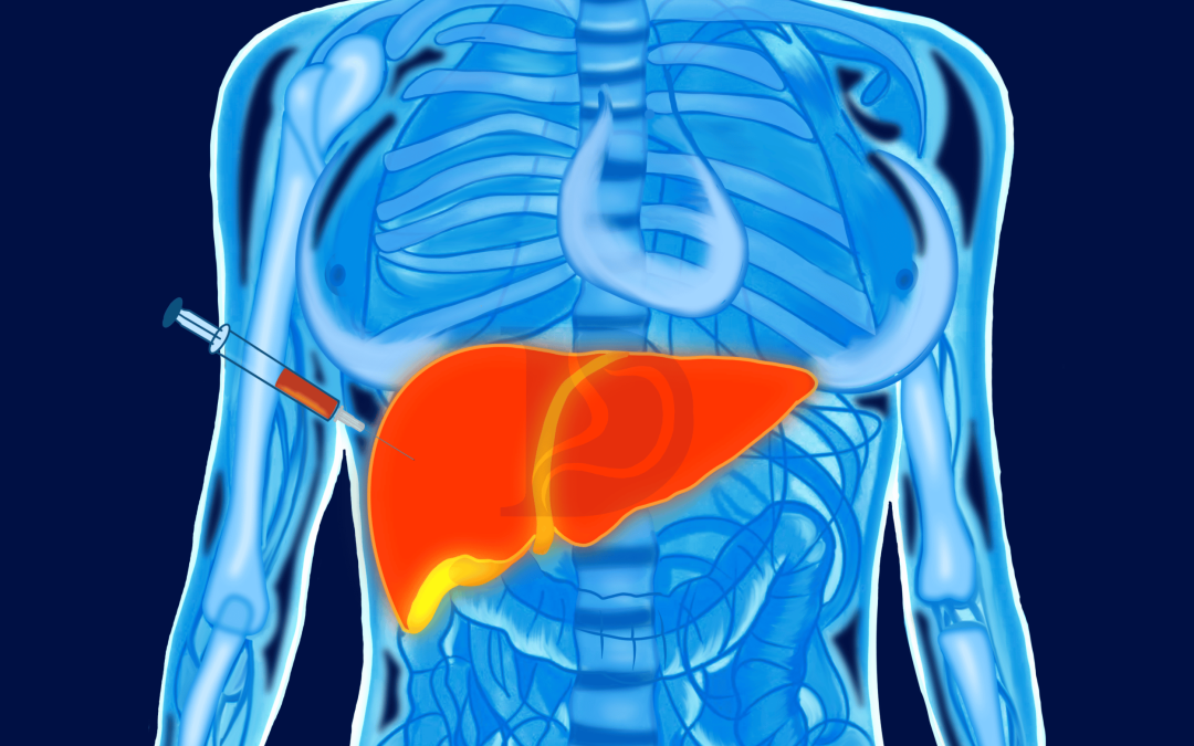 Manfaat Jahe Merah dalam Menjaga Kesehatan Liver Pengantar