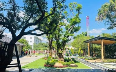 Cara Memilih Kontraktor Taman di Jakarta yang Tepat dan Nggak Bikin Pusing