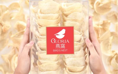 Cari Sarang Burung Walet Asli dan Murni? Ke Gloria Bird Nest aja